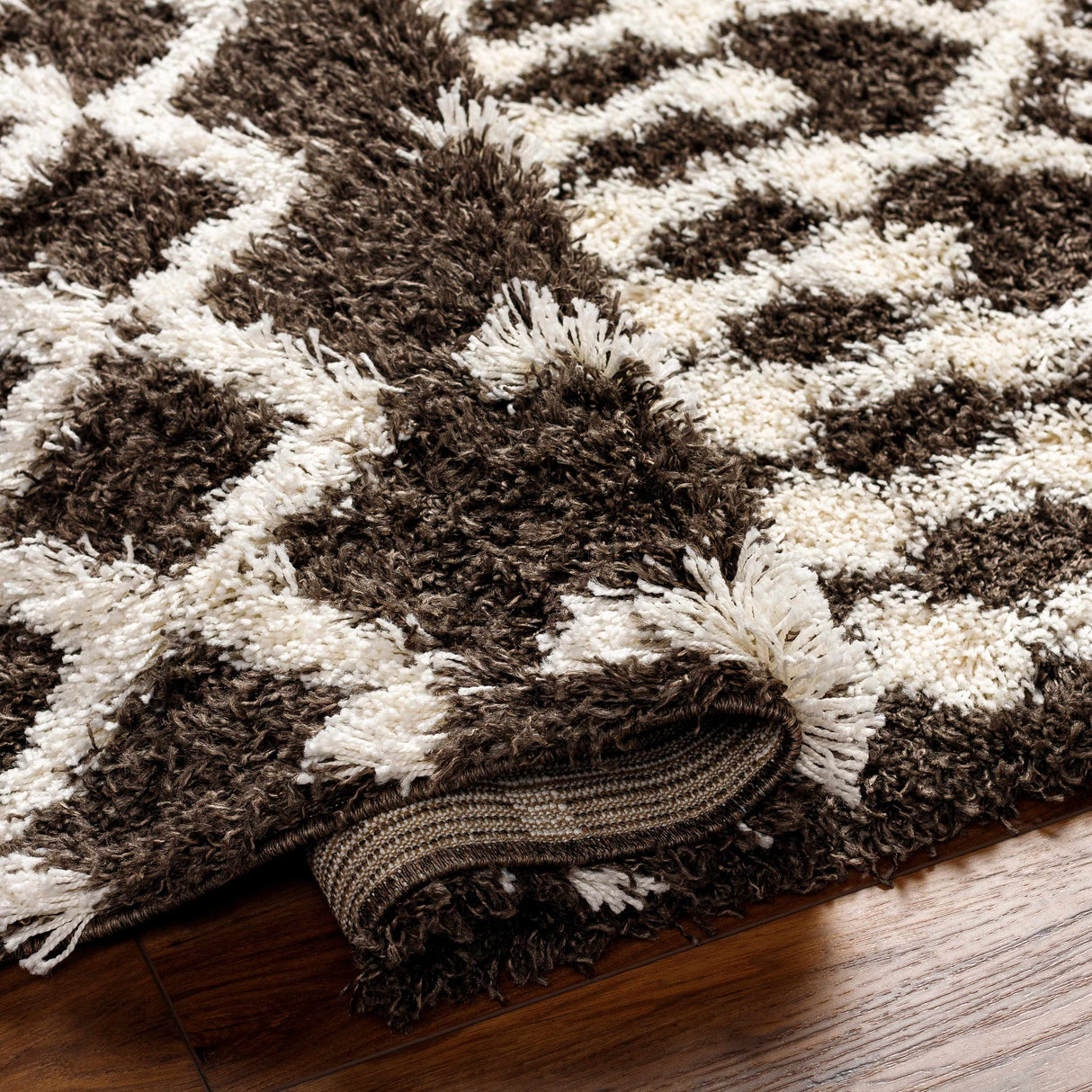 Aysel Shag Area Rug