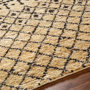Aziza Area Rug - Clearance