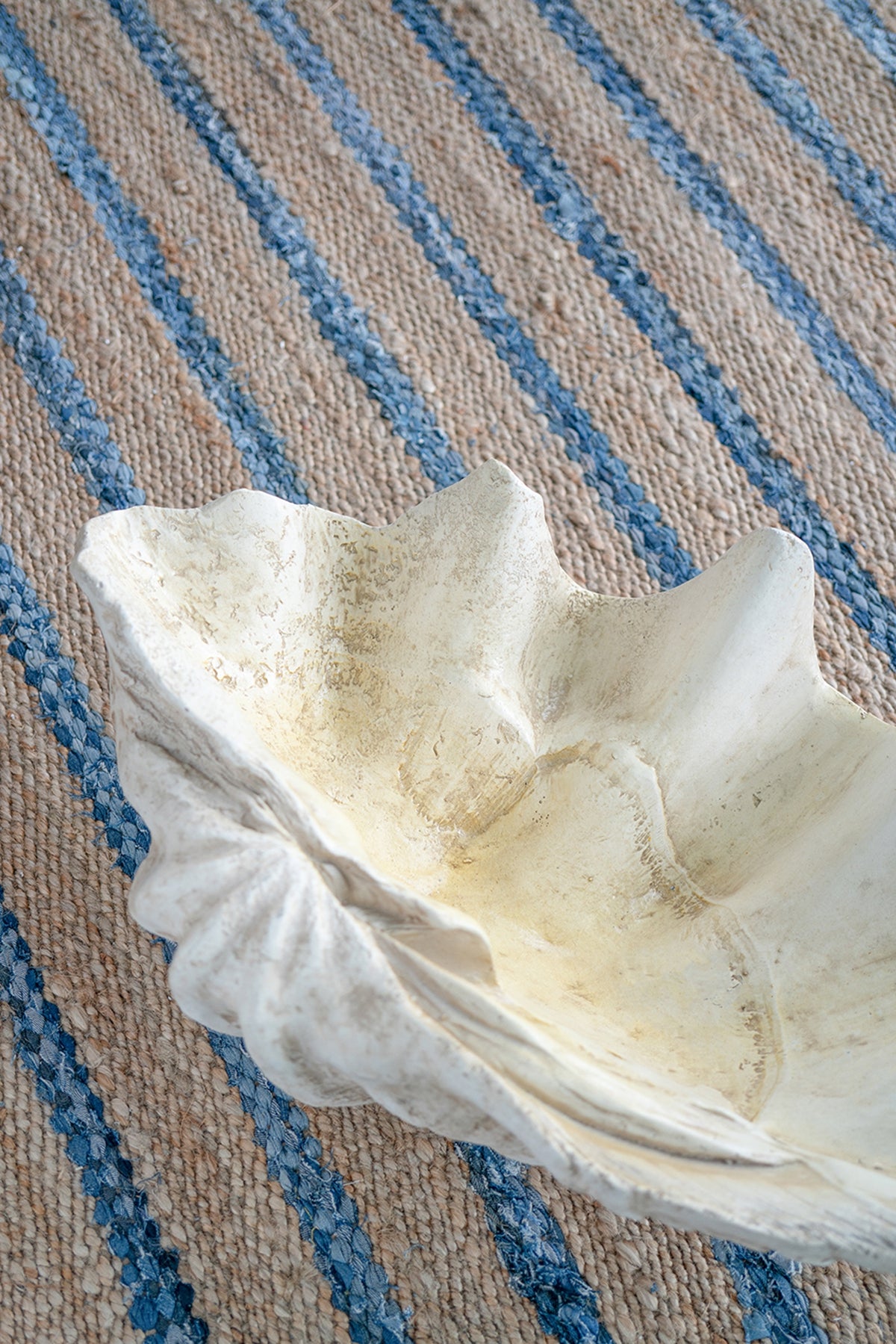 Large Clam Shell Accent 25.3x16.5x8.5"