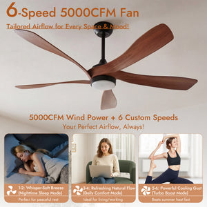 52 Inch Ceiling Fan with Light