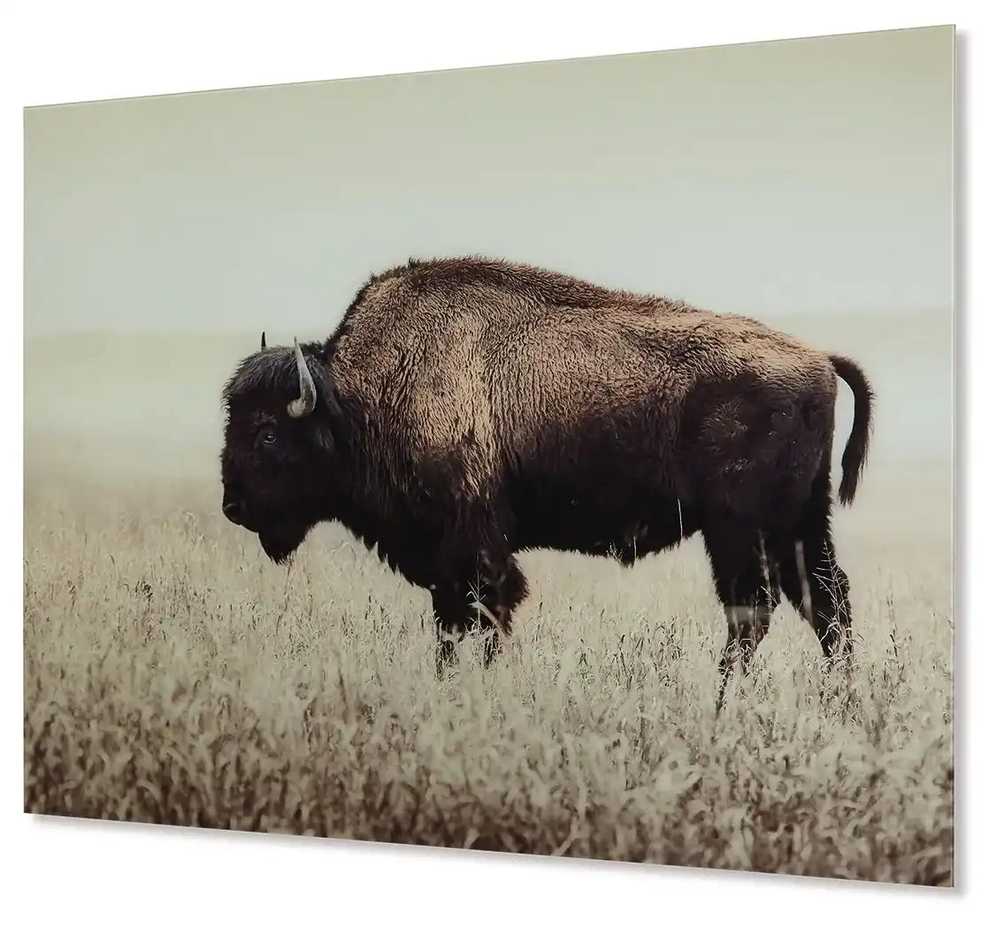 Brutus - Wall Art - Sepia