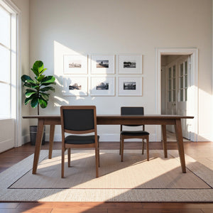 Cary Mid-Century Modern Dining Chairs