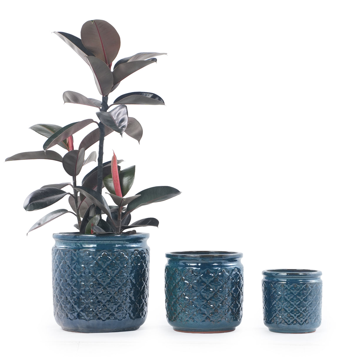W3273P505452