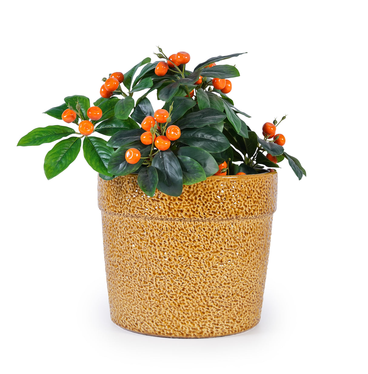Handmade Ceramic Planter Set of 3