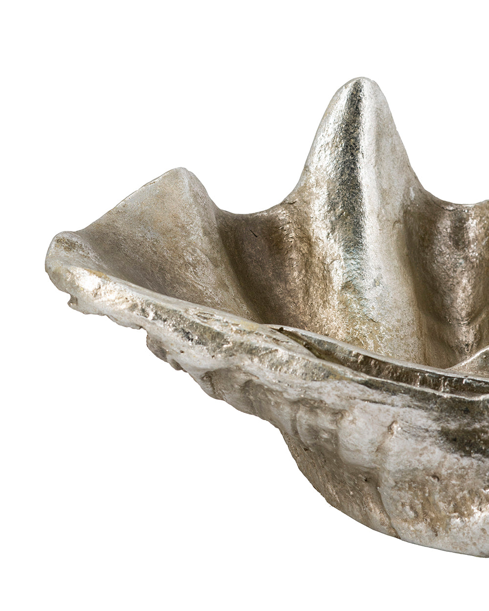 19.7x10.6x5.5" Decorative Shell Bowl