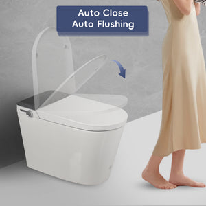 Tankless Smart Toilet With Bidet Built In