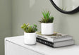 7" Tall, Artificial Plant, Succulent, Indoor, Faux, Fake, Table, Greenery, Potted, Decorative (Set of 2) - Green / White - Best Buy Furniture