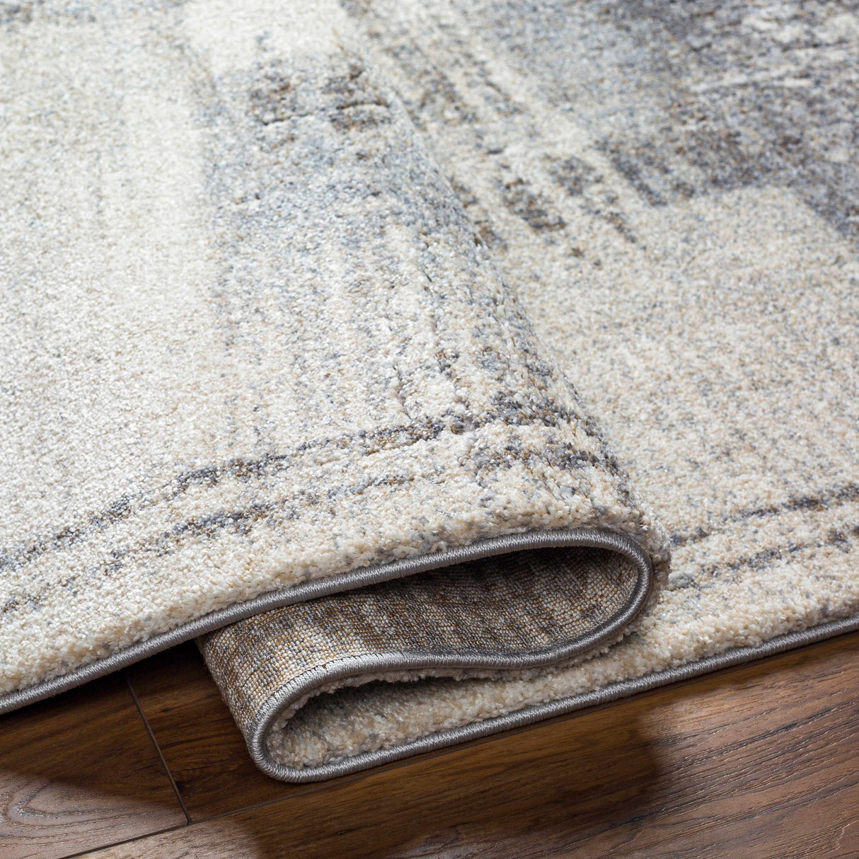 Bacca Area Rug