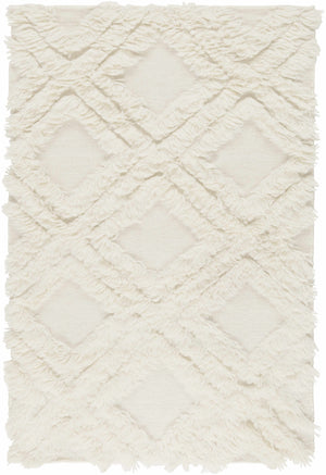Bairoil Area Rug - Clearance