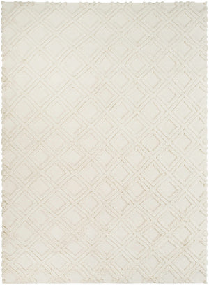 Bairoil Area Rug - Clearance
