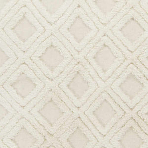Bairoil Area Rug - Clearance