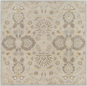Conesus 1192 Hand Tufted Ivory&Taupe Wool Rug