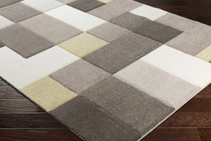 Barnett Area Rug - Clearance