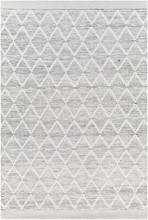 Bartimaeus Area Rug - Clearance