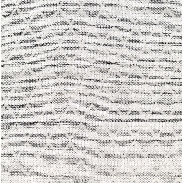 Bartimaeus Area Rug - Clearance