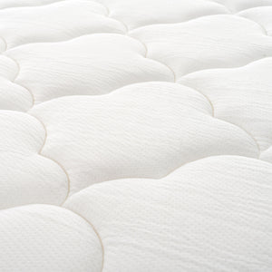 12" Hybrid Mattress With Pocket Coils And Memory Foam, Medium Firm