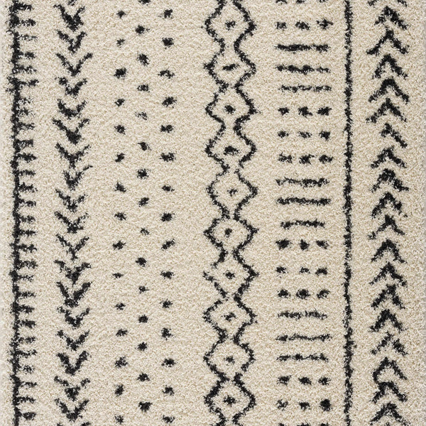Hauppauge Berber Shag Carpet