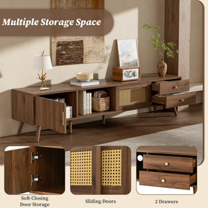 76" Modern Rattan Doors TV Stand