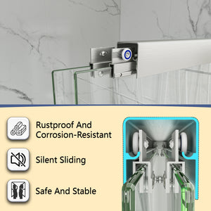 Brushed Nickel Reversible Installation Double Bypass Sliding Shower Door