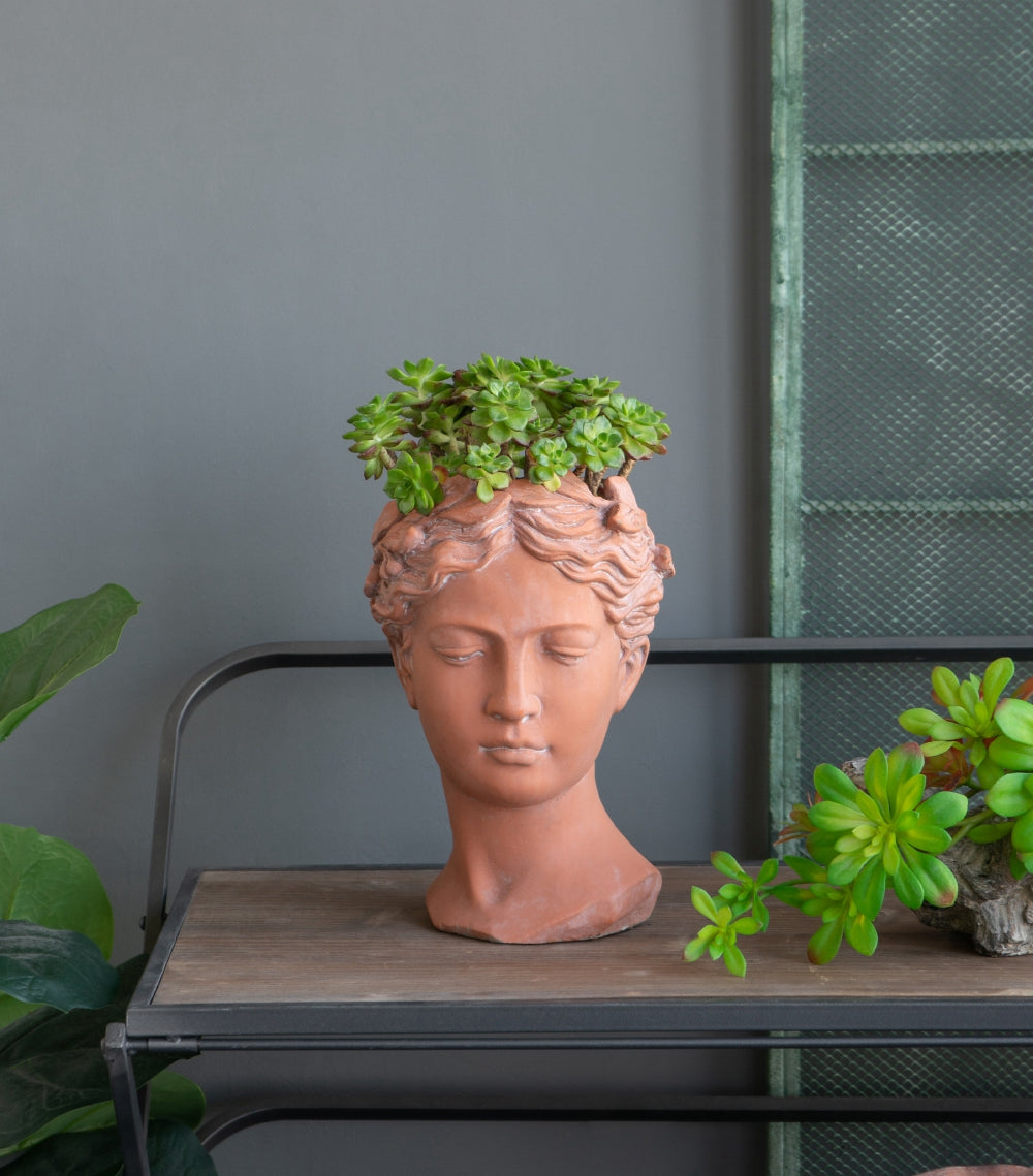 Visage Head Bust Planter with Classical Design - Cement