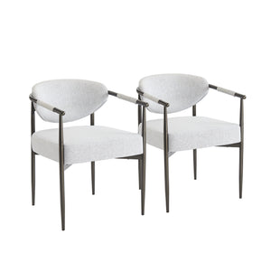 Modern Dining Chairs Set of 2 with Bronze Iron Frame