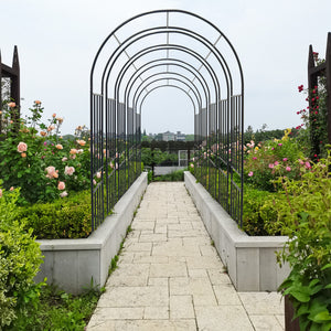 Metal Garden Arch for Climbing Plants