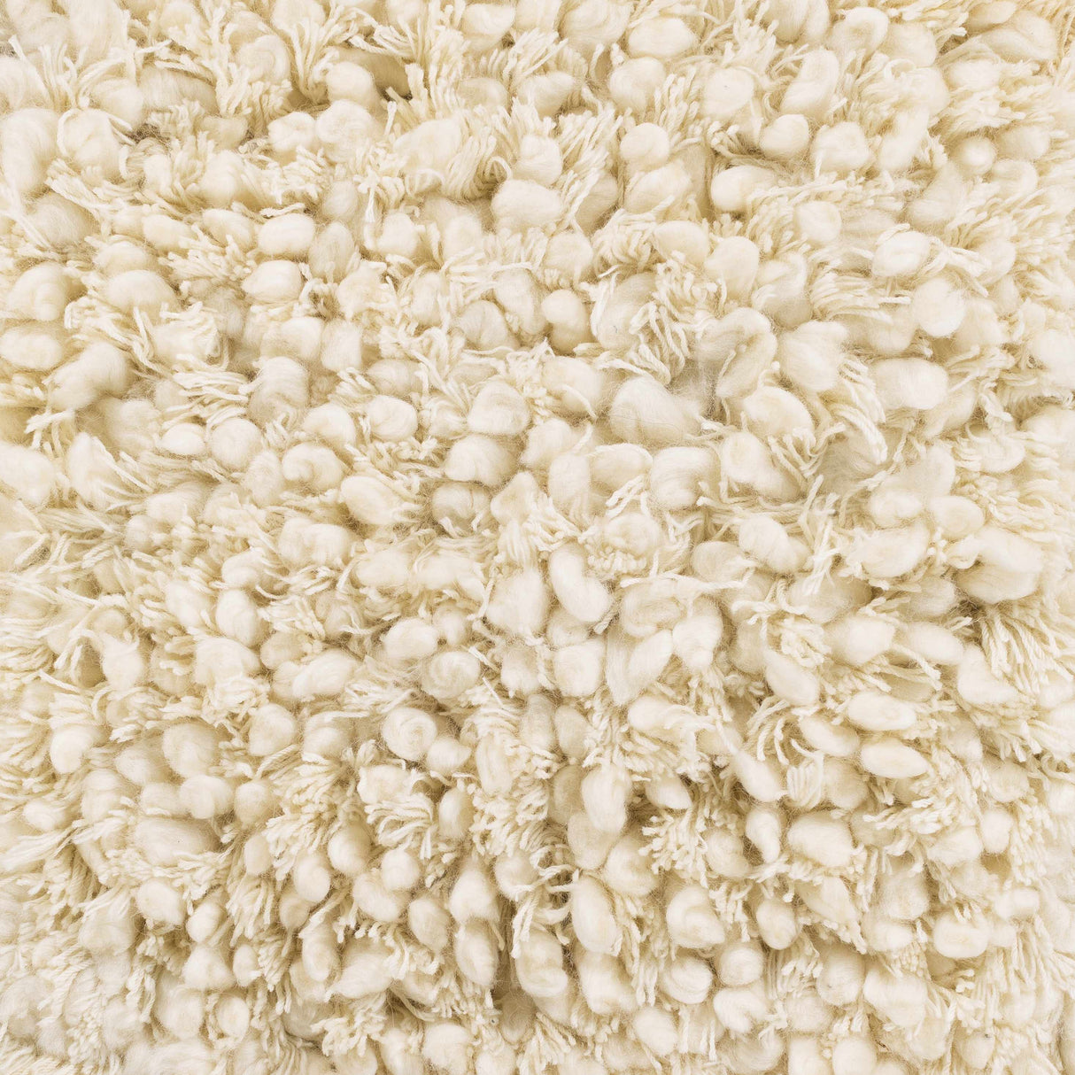 Bedias Wool Area Carpet - Clearance