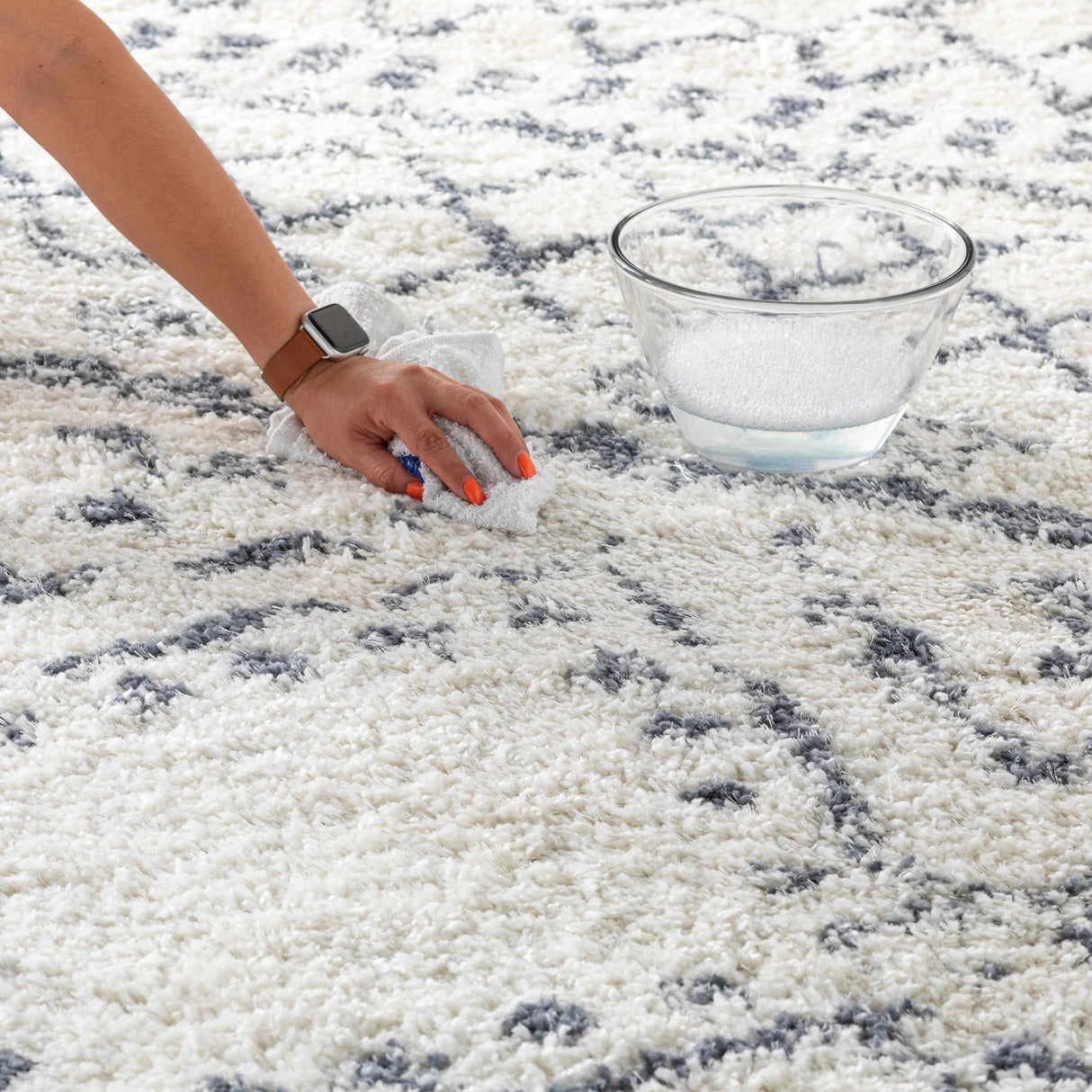 Benezett Area Rug - Clearance