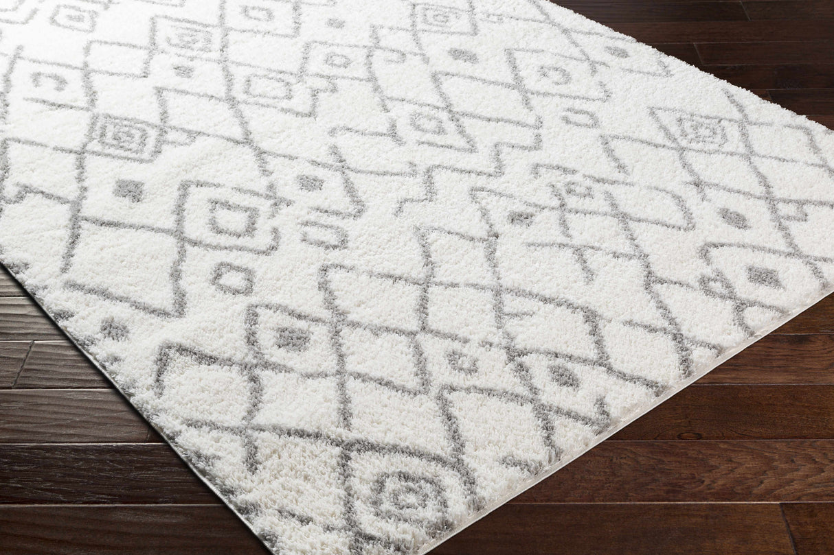 Berwyn Area Carpet - Clearance