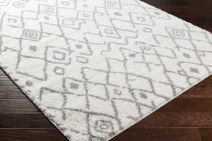 Berwyn Area Carpet - Clearance