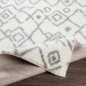 Berwyn Area Carpet - Clearance