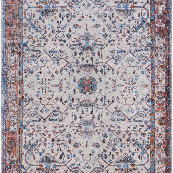 Beykonak Washable Area Rug - Clearance