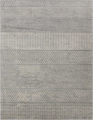 Bingham Area Rug