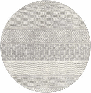 Bingham Area Rug