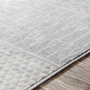Bingham Area Rug