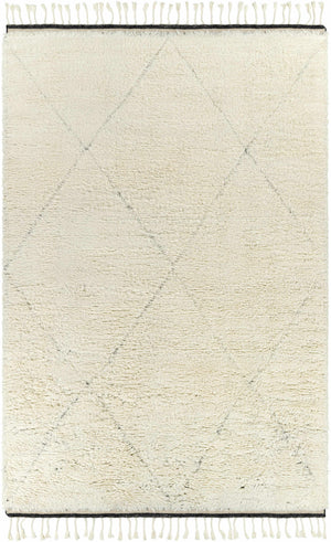 Birdwell Area Rug - Clearance