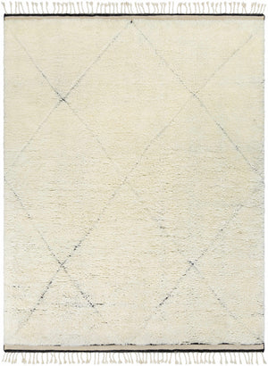 Birdwell Area Rug - Clearance