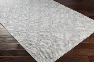 Bakersfield Area Rug - Clearance