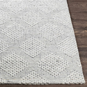 Bakersfield Area Rug - Clearance