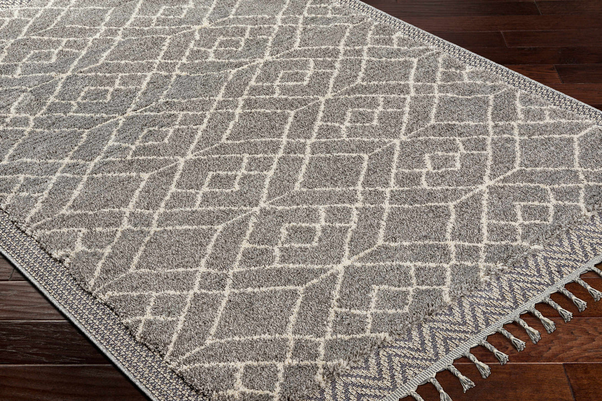 Ballybunnion Area Rug - Clearance