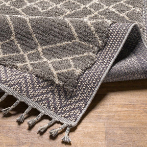 Ballybunnion Area Rug - Clearance