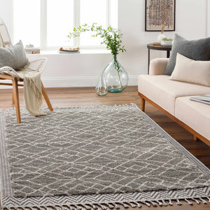 Ballybunnion Area Rug - Clearance