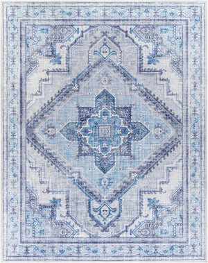 Boon Area Rug - Clearance