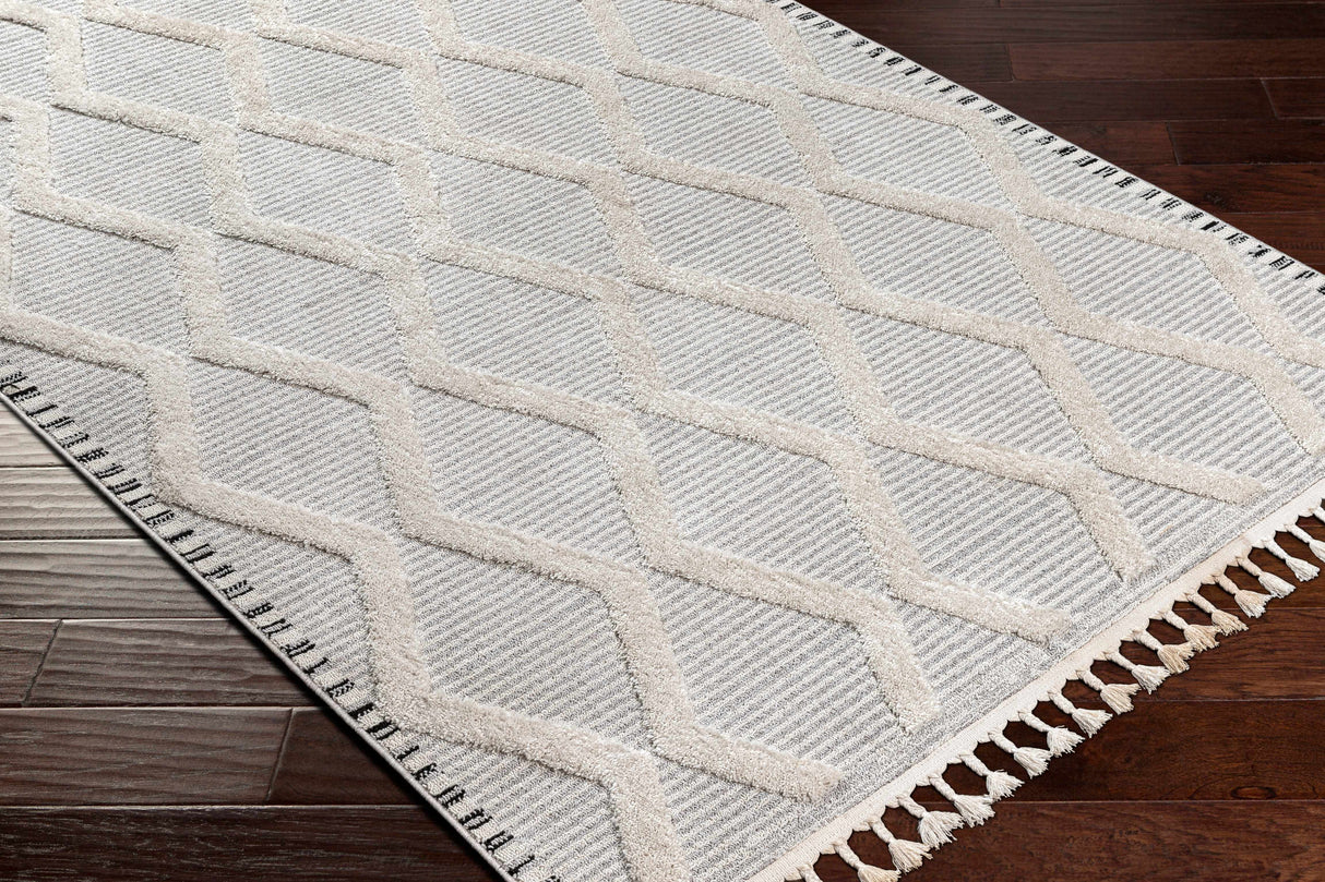 Bolong High/Low Pile Rug with Tassels - Clearance