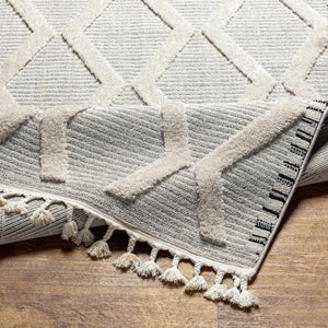 Bolong High/Low Pile Rug with Tassels - Clearance