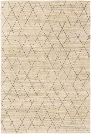 Bonogin Area Rug - Clearance