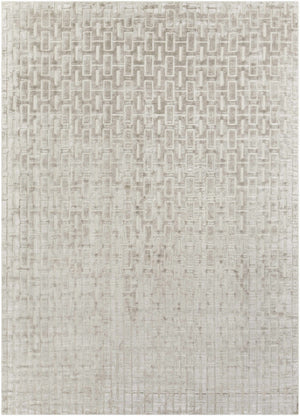 Bourg Area Rug - Clearance