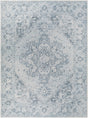 Boutique Rugs Ankti Aqua Washable Area Rug
