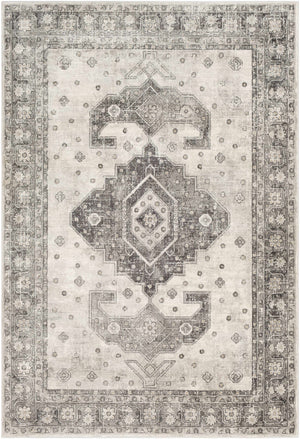 Boutique Rugs Congress Area Rug