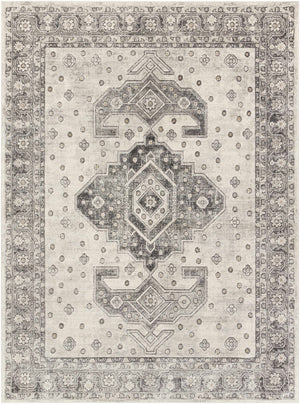 Boutique Rugs Congress Area Rug - view 7
